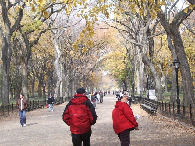 themallwalkwayincentralpark.jpg