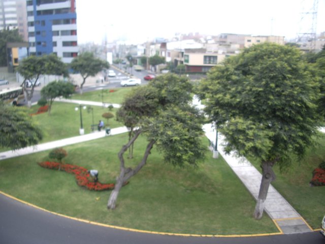 gardeninroundabout.jpg