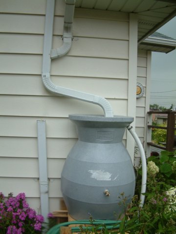 rainbarrel.jpg